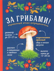 За грибами. Карманный атлас-определитель - Т. Н. Ильина (ISBN: 9785699911462)