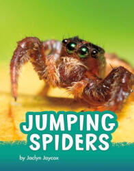 Jumping Spiders - Jaycox, Jaclyn (ISBN: 9781977132987)