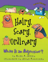 Hairy, Scary, Ordinary: What Is an Adjective? - Brian P. Cleary, Jenya Prosmitsky (ISBN: 9781575055541)