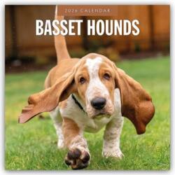 Basset Hounds 2026 Square Wall Calendar (ISBN: 9781804427699)