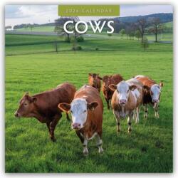 Cows 2026 Square Wall Calendar (ISBN: 9781804427170)