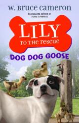Lily to the Rescue: Dog Dog Goose (ISBN: 9781250234520)