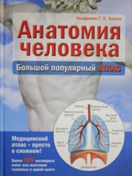 Анатомия человека: большой популярный атлас - Г. Билич (ISBN: 9785699725854)