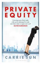 Private Equity (ISBN: 9781526634733)