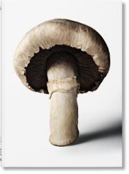 The Gourmand's Mushroom (2025)