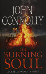 The Burning Soul (ISBN: 9781444732191)