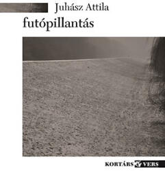 Futópillantás (ISBN: 9789639985834)