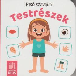 Első szavaim - Testrészek (ISBN: 9786156050083)