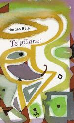 Te pillanat (ISBN: 9789639363724)