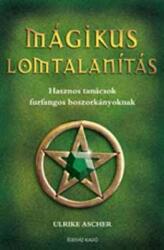 Mágikus lomtalanítás (ISBN: 9789635288724)