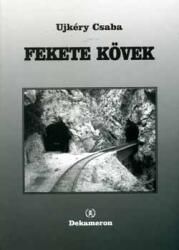 Fekete kövek (ISBN: 9789639331761)