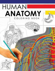 Human Anatomy Coloring Book: A Complete Study Guide (ISBN: 9781535449656)