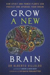 Grow a New Brain - Alberto Villoldo (ISBN: 9781837824793)