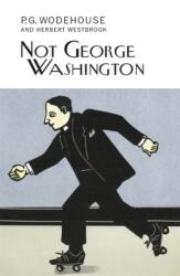 Nu George Washington (ISBN: 9781841591926)