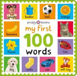 My First 100: Words (ISBN: 9781838993023)