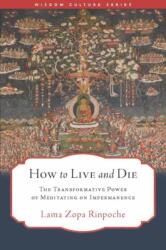 How to Live and Die (2025)