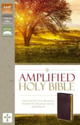 Amplified Holy Bible, Bonded Leather, Burgundy, Thumb Indexed - Zondervan Publishing (ISBN: 9780310443957)