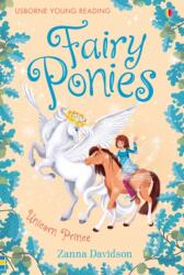 Fairy Ponies Unicorn Prince (ISBN: 9781409506362)