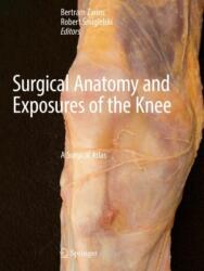 Surgical Anatomy and Exposures of the Knee (ISBN: 9783031476631)