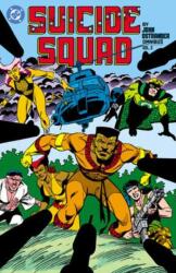 Suicide Squad by John Ostrander Omnibus Vol. 2 - Steve Erwin, Luke Mcdonnell, Tom Grindberg (ISBN: 9781799508021)