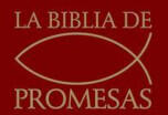 Santa Biblia de Promesas Reina-Valera 1960 / Económica / Rústica / Color Vino // Spanish Promise Bible Rvr 1960 / Economy / Paperback / Burgundy - Unilit (ISBN: 9780789921512)