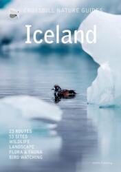 Iceland - Dirk Hilbers (ISBN: 9789491648366)