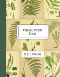 Vintage Prints: Ferns - E. Lawrence (ISBN: 9781987530902)