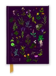 Anna Stead: For Spells & Potions (ISBN: 9781835626795)