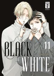 Black or White 11 (ISBN: 9783755506317)