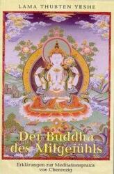 Der Buddha des Mitgefühls (ISBN: 9783980757249)