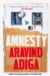 Amnesty (ISBN: 9781509879052)