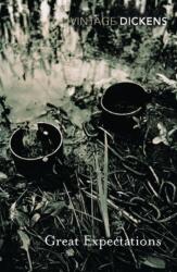 Great Expectations (ISBN: 9780099511571)