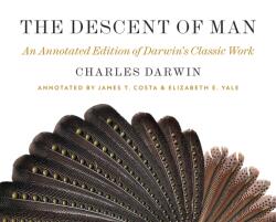 The Descent of Man (ISBN: 9780691194042)
