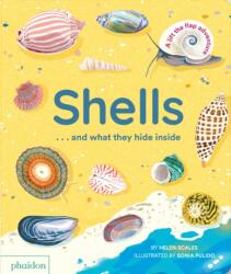 Shells. . . and what they hide inside (ISBN: 9781838667887)