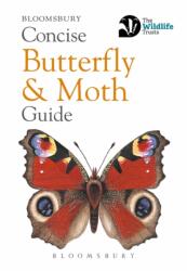 Concise Butterfly and Moth Guide - Bloomsbury (ISBN: 9781472963772)