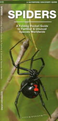 Spiders - James Kavanagh (ISBN: 9781620054925)