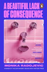 A Beautiful Lack of Consequence (ISBN: 9781529918724)