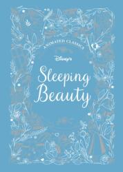 Sleeping Beauty (ISBN: 9781787414174)