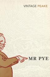 Mr Pye (ISBN: 9780099283263)