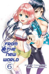 From The New World Vol. 6 - Yusuke Kishi (ISBN: 9781941220351)