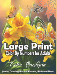 Large Print Color By Numbers for Adults - Color Questopia (ISBN: 9798592014598)