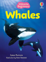 Beginners Whales - Sara Ugolotti (ISBN: 9781836052142)