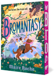 Bromantasy - ROCHE MAIRE (2026)