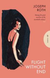 Flight Without End (ISBN: 9781805331216)