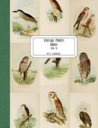 Vintage Prints: Birds: Vol. 6 - E. Lawrence (ISBN: 9781727163728)