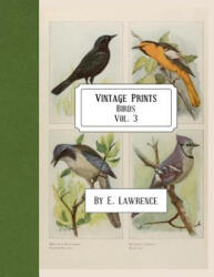 Vintage Prints: Birds: Vol. 3 - E. Lawrence (ISBN: 9781717053374)
