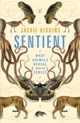 Sentient (ISBN: 9781529030785)