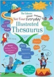 Not Your Everyday Thesaurus - MACLAINE JAMES (ISBN: 9781836051824)