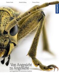 Von Angesicht zu Angesicht (2024)