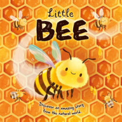 Nature Stories: Little Bee: Padded Board Book - Gisela Bohórquez (ISBN: 9781803684123)